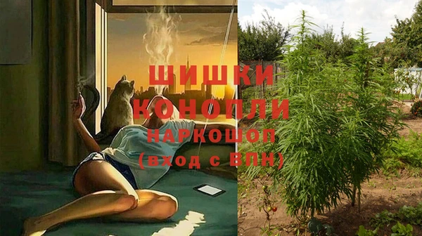 a pvp Заволжск